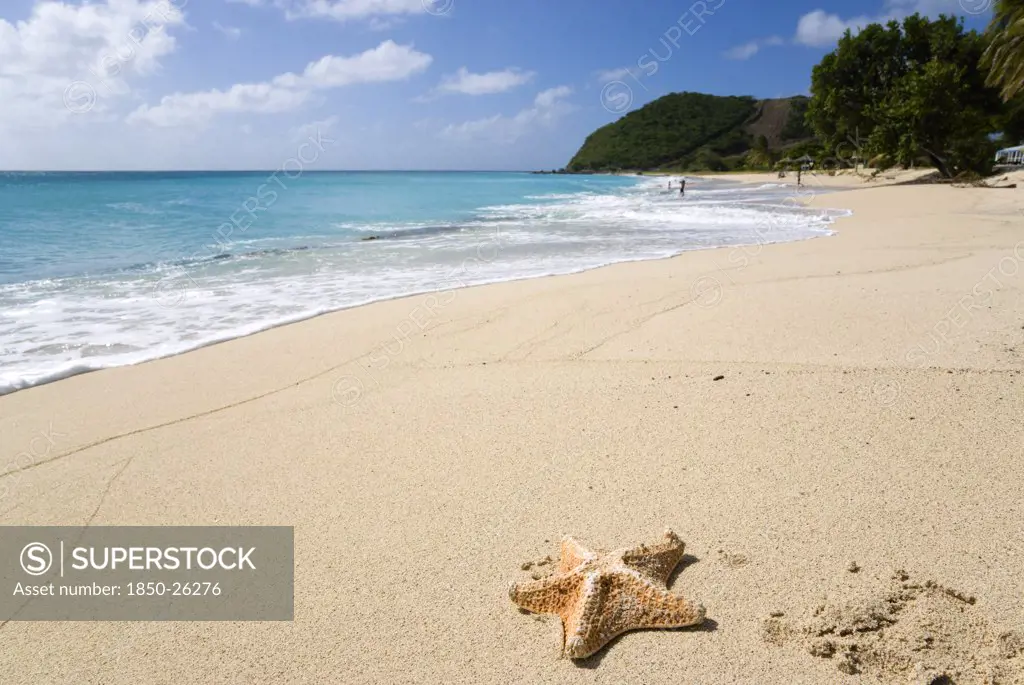 West Indies, St Vincent And The Grenadines, Canouan, South Glossy Beach In Glossy Bay With A Starfish On The Sand And Waves Breaking On The Shoreline Of The Turqoise Sea