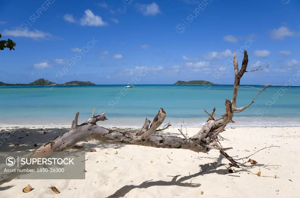 West Indies, Grenada, Carriacou, 'Dead Branch Of A Tree In The Sand With Waves Breaking On Paradise Beach At L'Esterre Bay With The Turqoise Sea, A Fishing Boat At Anchor And Small Islands Beyond'