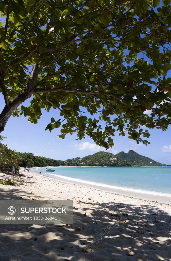 West Indies, Grenada, Carriacou, The Calm Clear Blue Water Breaking On Paradise Beach In L'Esterre Bay With Cistern Point In The Distance. A Small Number Of People On The Beach And In The Water