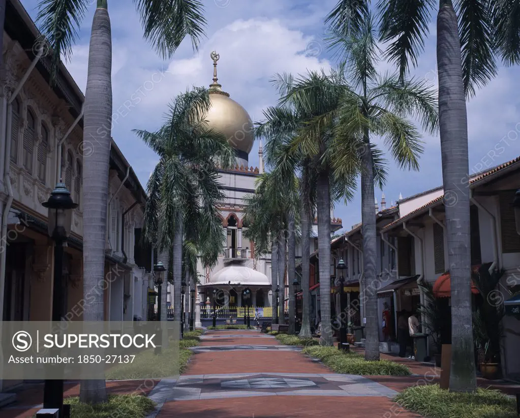 Singapore, Kampong Glam , Sultan Mosque, Road Lined With Palm Trees Leading To The Sultan Mosque With Large Gold Dome. North Bridge Road.