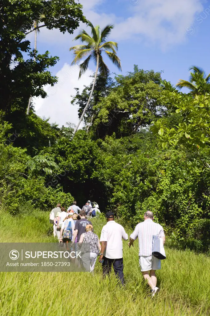 West Indies, Grenada, St Andrew, Cruise Ship Tourists Trekking Through The Jungle Interior Towards Royal Mount Carmel Waterfall.