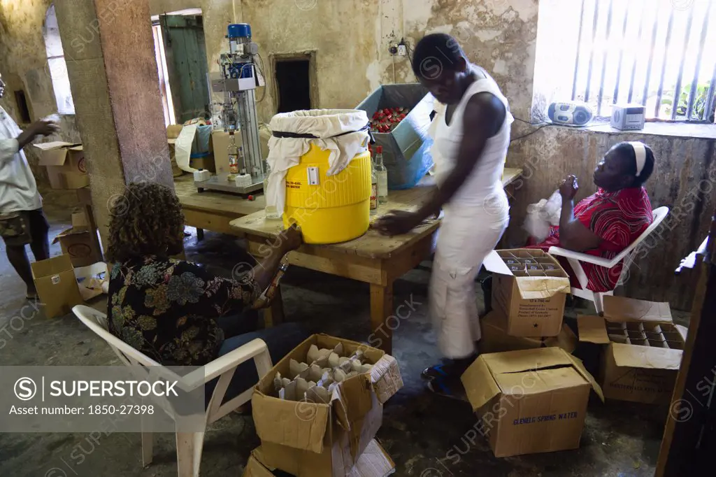 West Indies, Grenada, St Patrick, Female Workers Hand Bottling The Rum At The River Antoine Distillery.