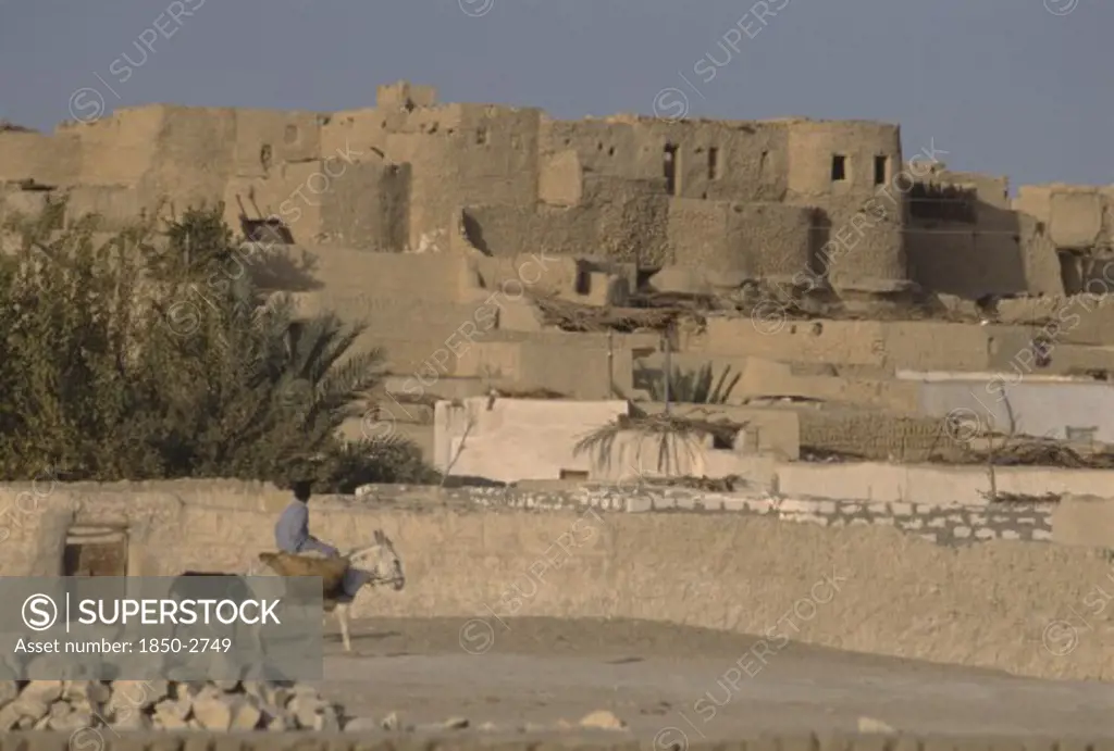 Egypt, Western Desert, Farafra Oasis , Typical Desert Architecture With Boy Riding Donkey Carrying Panniers In Foreground.