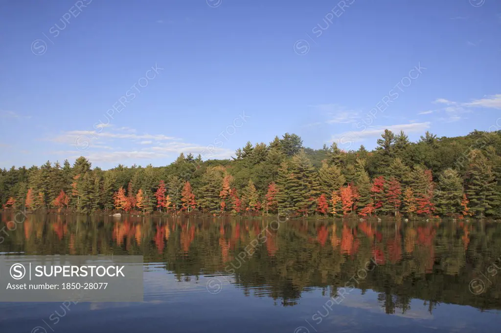 Usa, New Hampshire, 'Marlborough,', Autumn Foliage On Meetinghouse Pond.