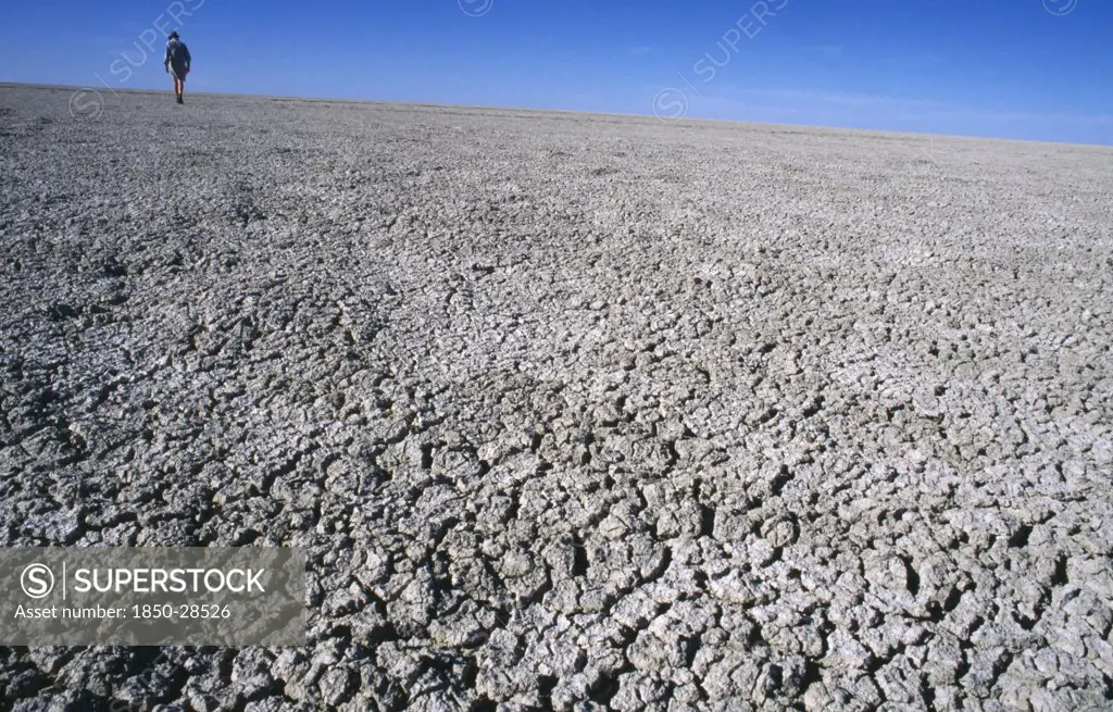 Namibia, Etosha National Park, Etosha Pan , Distant Figure Walking Across Dry And Cracked Expanse Of The Etosha Pan Which Only Collects Water In The Wet Season.
