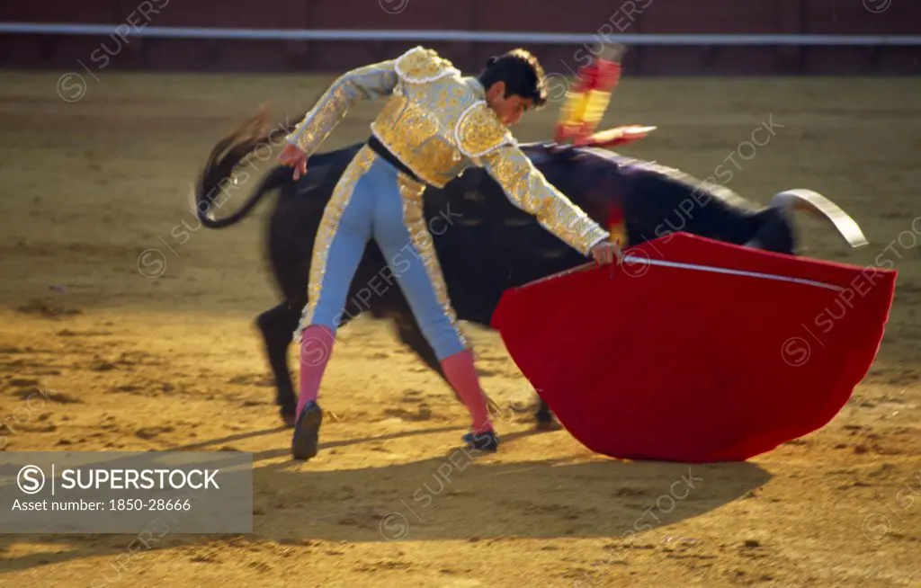 Spain, Andalucia  , Seville, Matador Holding Sword Behind Raised Cape In Passing Move With Charging Bull In The Bullring At A Bullfight In Arenal District.