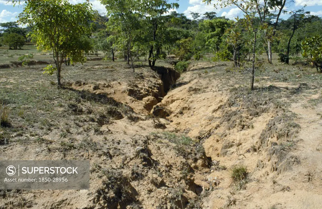 Zimbabwe, Murewa District, Agriculture, Fertile Land Becoming Barren Due To Erosion Of Soil.