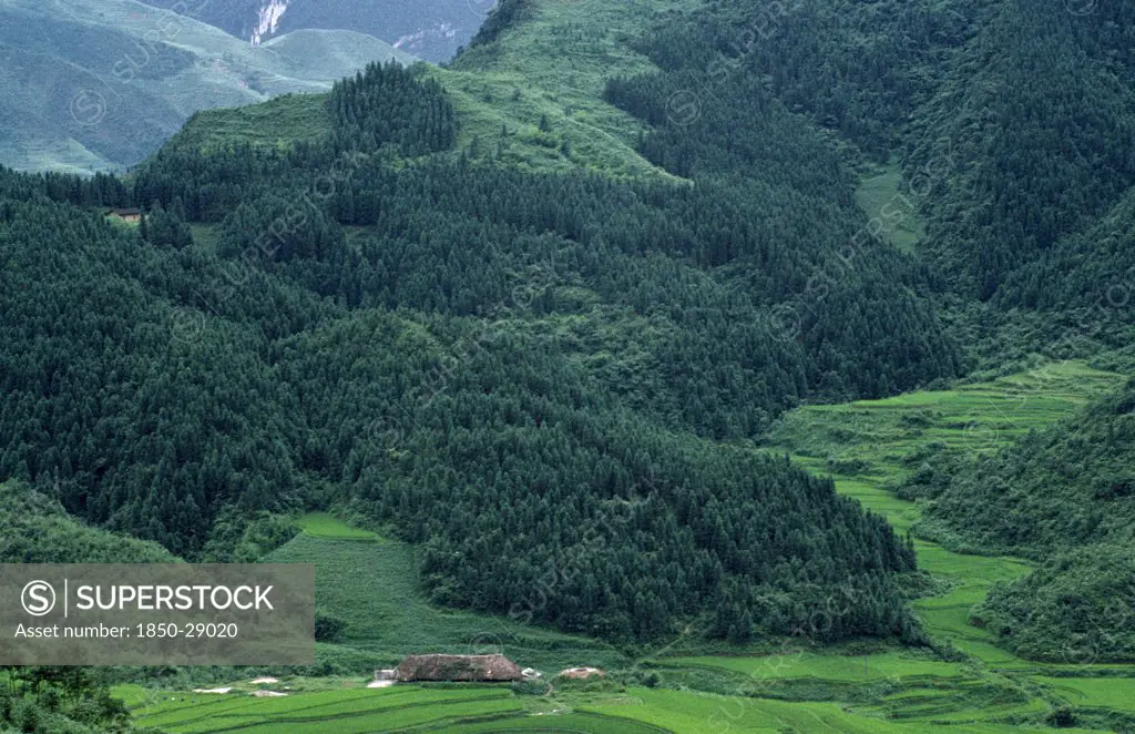 China, Sichuan, Gongxian County, Landscape With Reforestation Project Area.