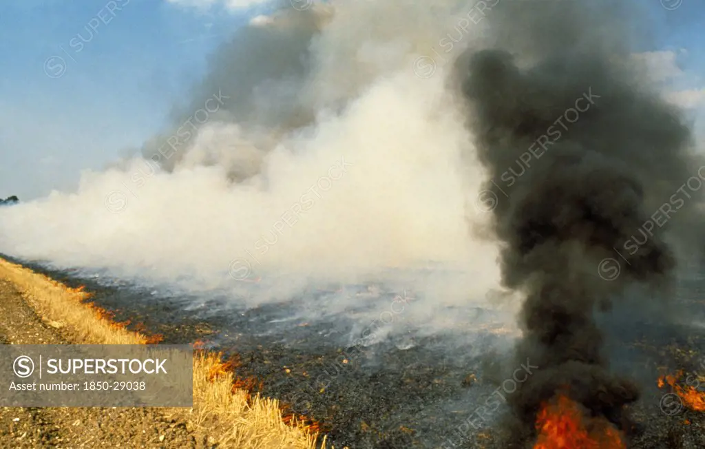 England, Hampshire, Environment, Burning Stubble After Harvest  Now Illegal Practice.