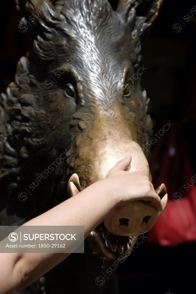 Italy, Tuscany, Florence, The 17Th Century Bronze Fountain Called Il Porcellino In The Mercato Nuovo Also Known As The Straw Market Where The Snout Of The Wild Boar Shines Where People Rub It Under The Superstition That If You Do You Will Return To The City.