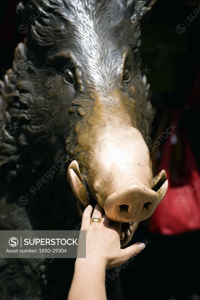 Italy, Tuscany, Florence, The 17Th Century Bronze Fountain Called Il Porcellino In The Mercato Nuovo Also Known As The Straw Market Where The Snout Of The Wild Boar Shines Where People Rub It Under The Superstition That If You Do You Will Return To The City.