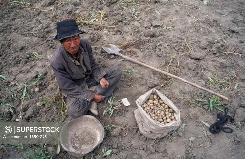 China, Tibet, Tandruk, View Looking Down On A Potato Farmer Sorting Potatoes In A Field