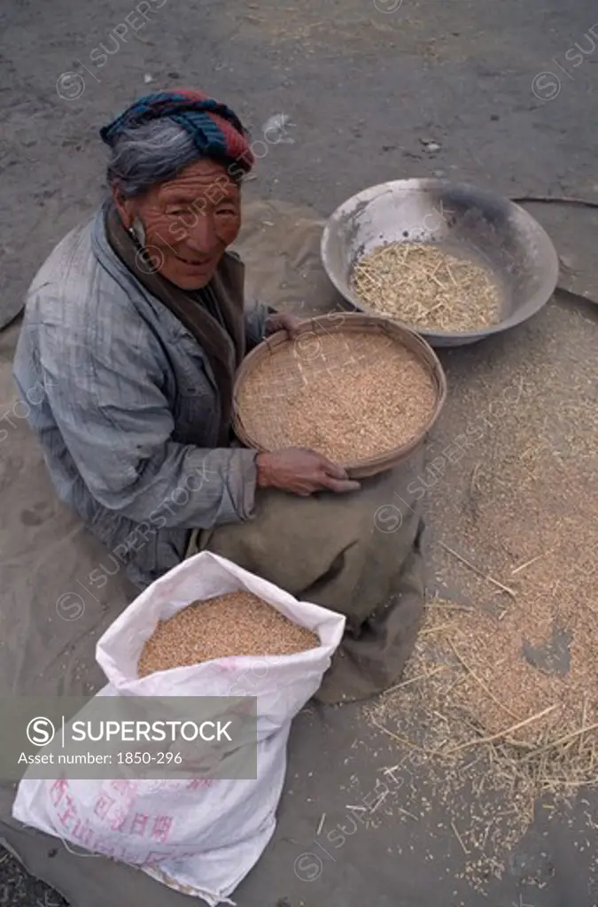 China, Tibet, Tandruk, Elderly Woman Winnowing Rice Into A Sack