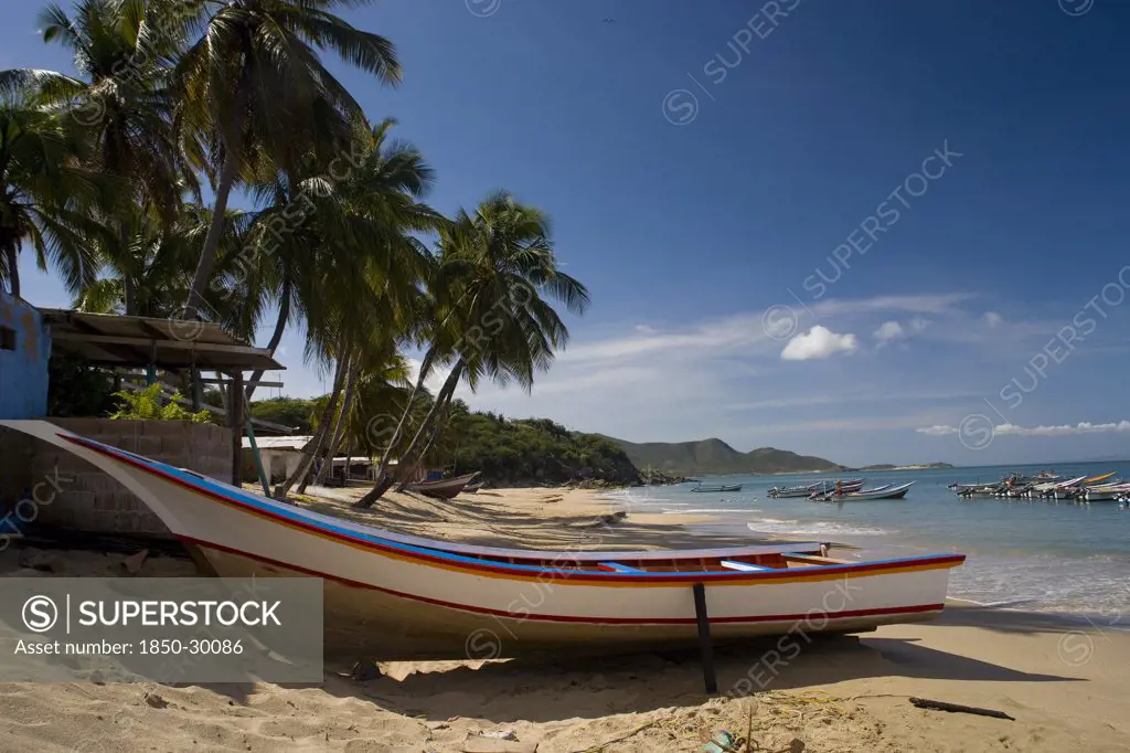 Venezuela, Margarita Island, Playa La Galera, Boat On The Tropical Beach Just In Front Of A Small House And Palm Trees While Other Boats Are Noticeable At The Crystal Clear Seawater  Shoot On A Bright Day With Blue Sky And White Clouds.