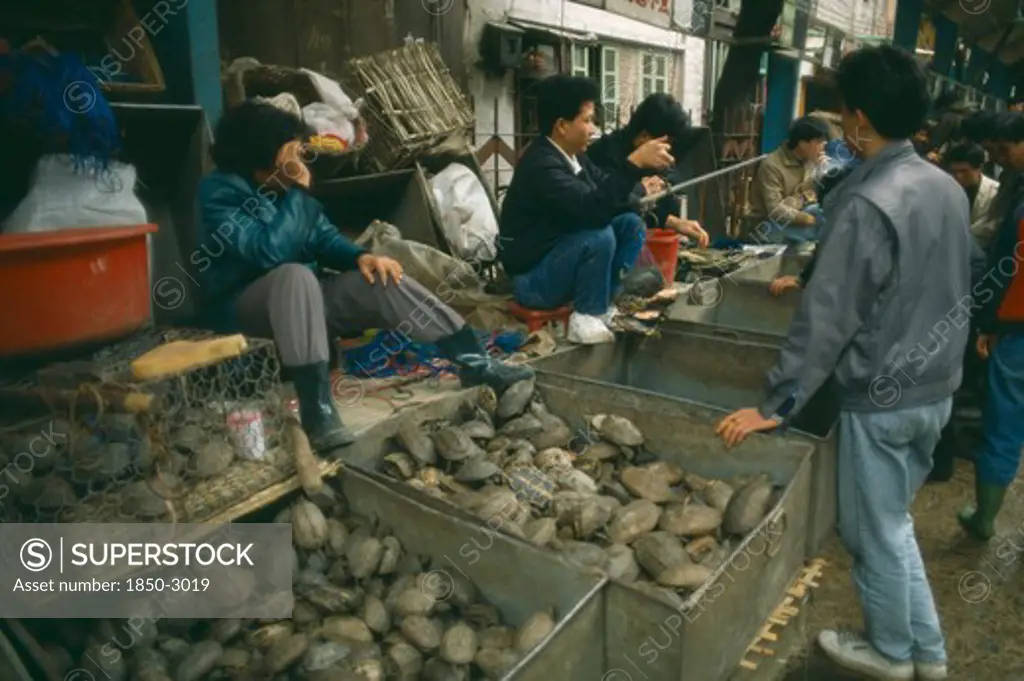 China, Qingping, Buying Turtles