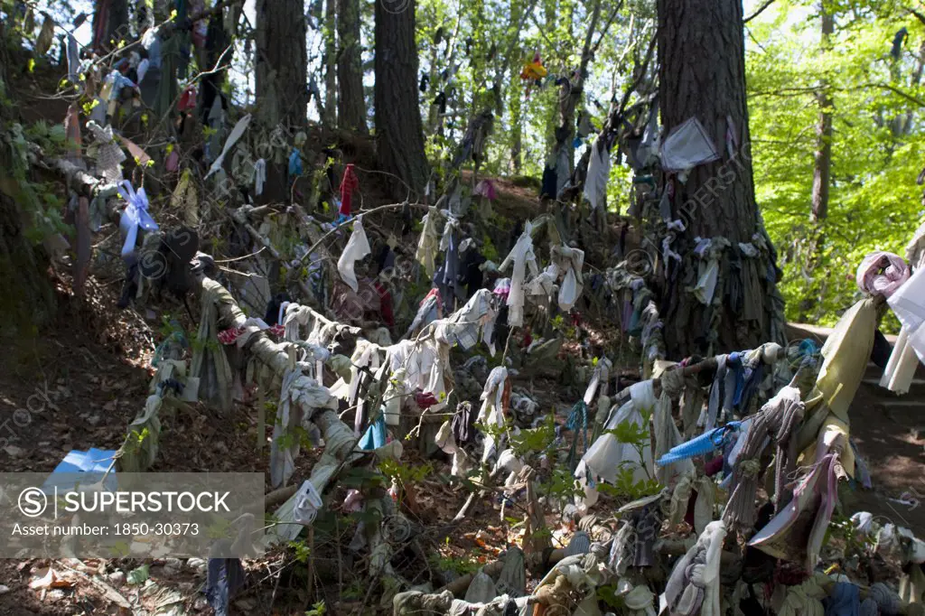 Scotland, Black Isle, Munlochy, Clootie Well  Clothing Hanging From Trees As Part Of An Ancient Pre Christian Tradition. Pilgrims A Make Offerings To The Spring Or Well In The Hope To Have An Illness Cured