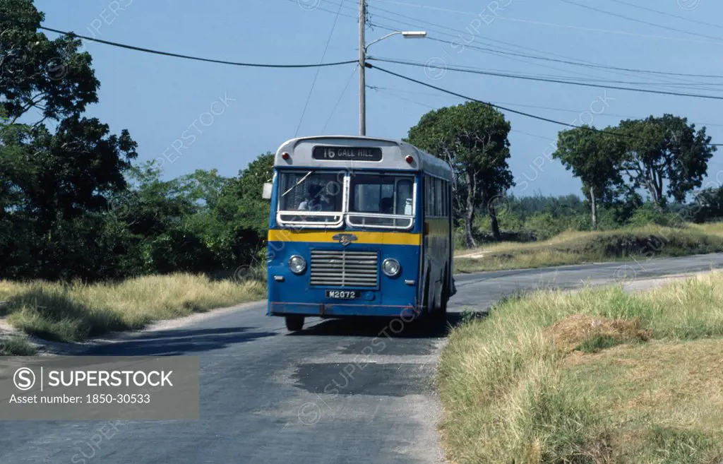 Barbados Transport, Local bus