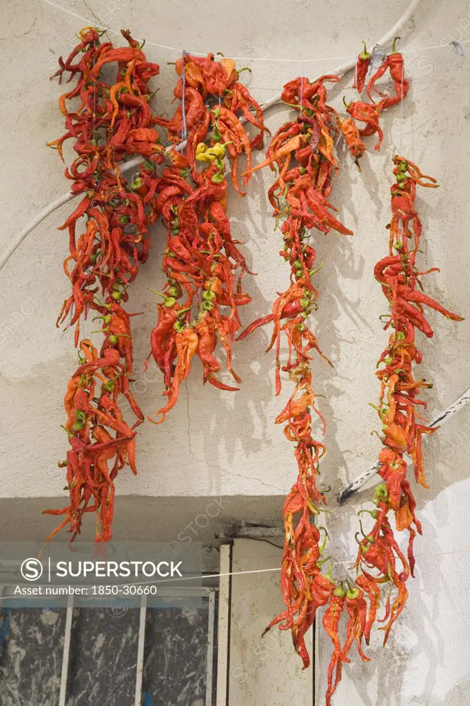 Turkey Aydin Province KUSAdasi, Strings red and orange chilies hung up to dry