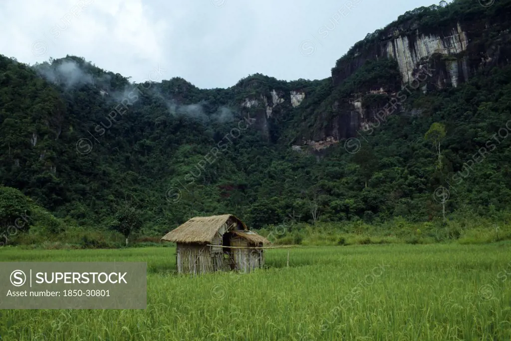 Indonesia Sumatra Haran Valley, Near Bukittinggi