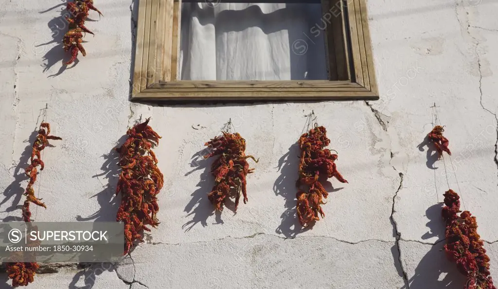 Turkey Aydin Province KUSAdadsi, Red chilli peppers hung on strings to dry