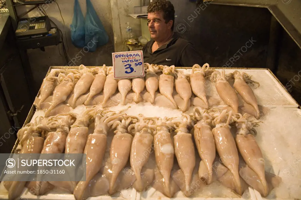 Greece Attica Athens, Central Market  Fresh squid displayed on stall