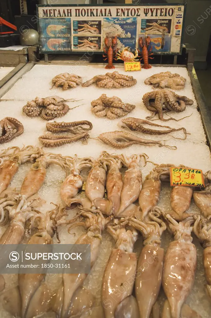 Greece Attica Athens, Central market  Display of fresh squid and octopus