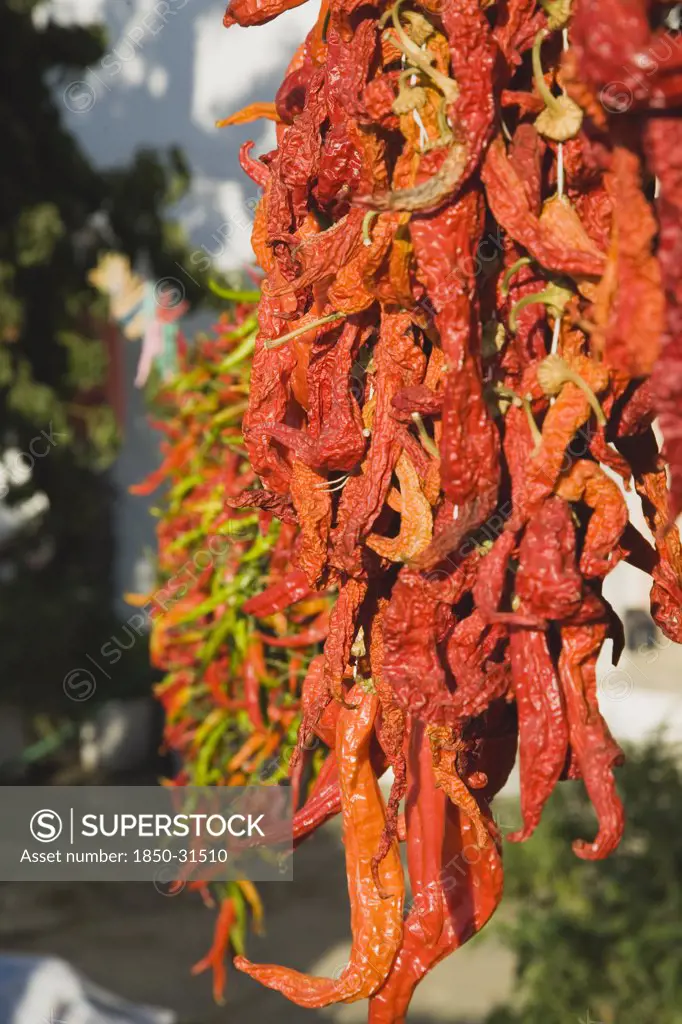 Turkey Aydin Province KUSAdasi, Strings of brightly coloured chilies hanging up to dry