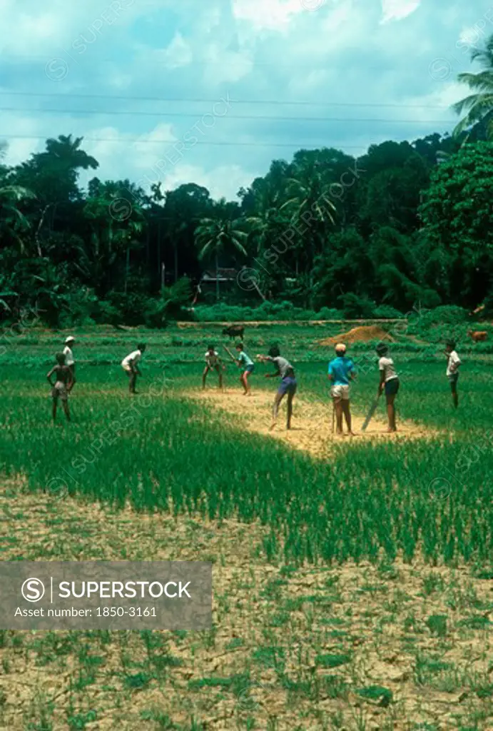 Sri Lanka, Sport, Young Boys Playing Cricket In A Field