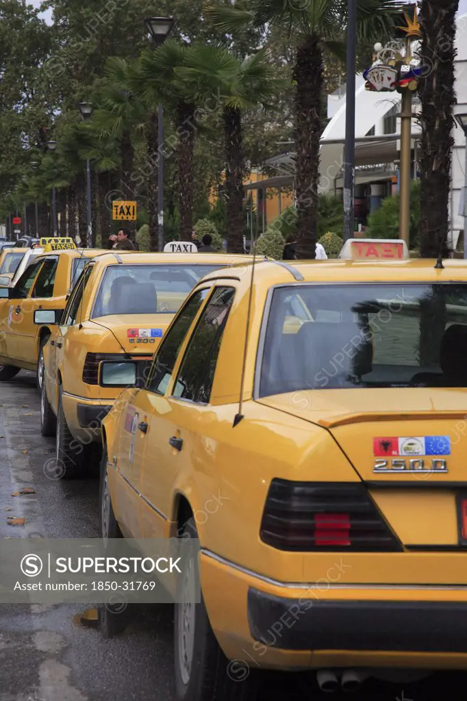 Albania, Tirane, Tirana, Line of yellow coloured taxi cabs.