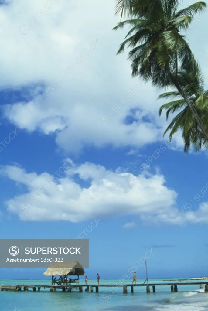 West Indies, Tobago, Pigeon Point, Boat Jetty With Thatched Shelter Seen From Beneath Coconut Palm Tree On The Beach