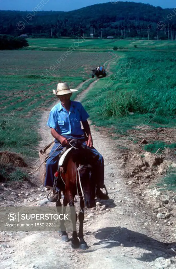 Cuba, Holguin , Man On Horse