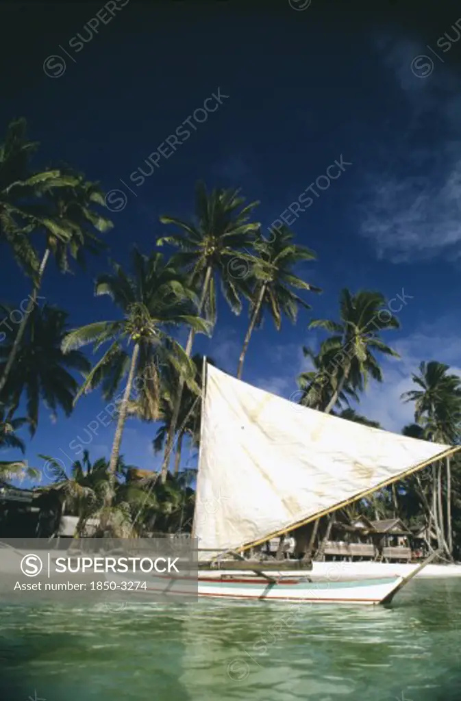 Philippines, Visayan Islands, Boracay Island, Sailboat Moored On The Beach Lined With Tall Palms And Beach Huts
