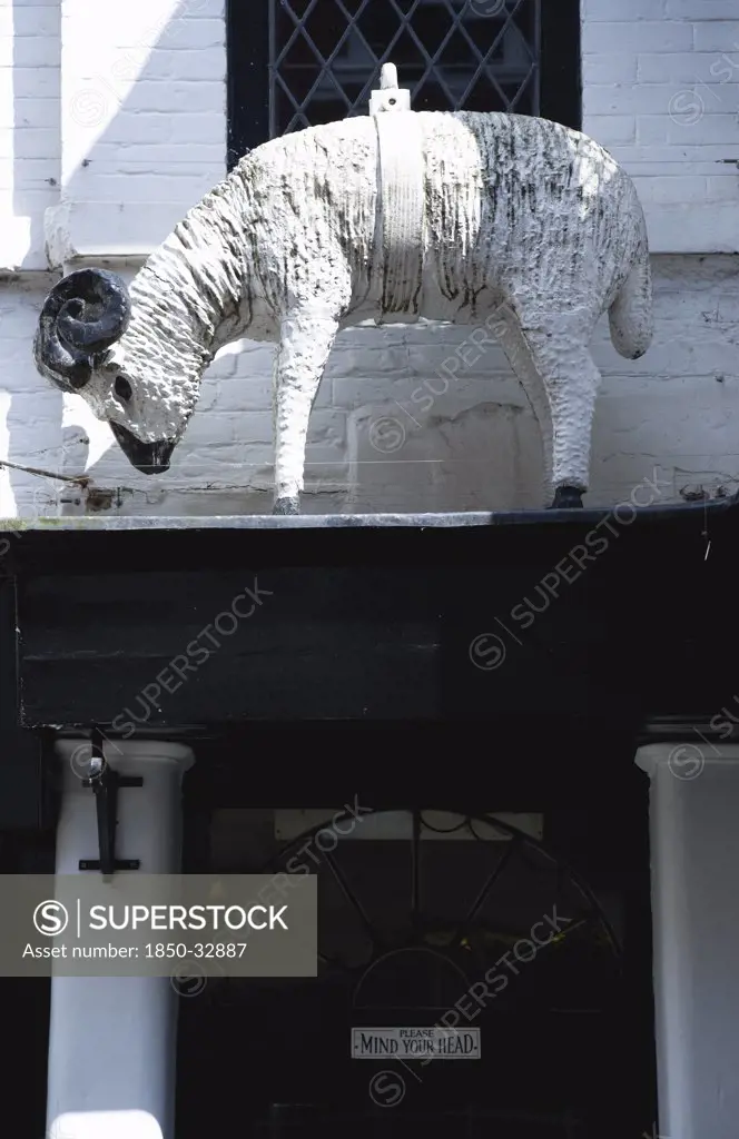 England, Wiltshire, Salisbury, Old figure of white ram that was used as a hanging pub sign.