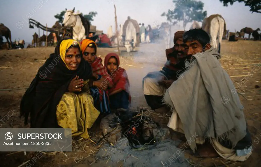 India, Rajasthan , People, Rajasthani Family Huddled Around Small Fire In Desert Area With Cattle Tethered Behind.