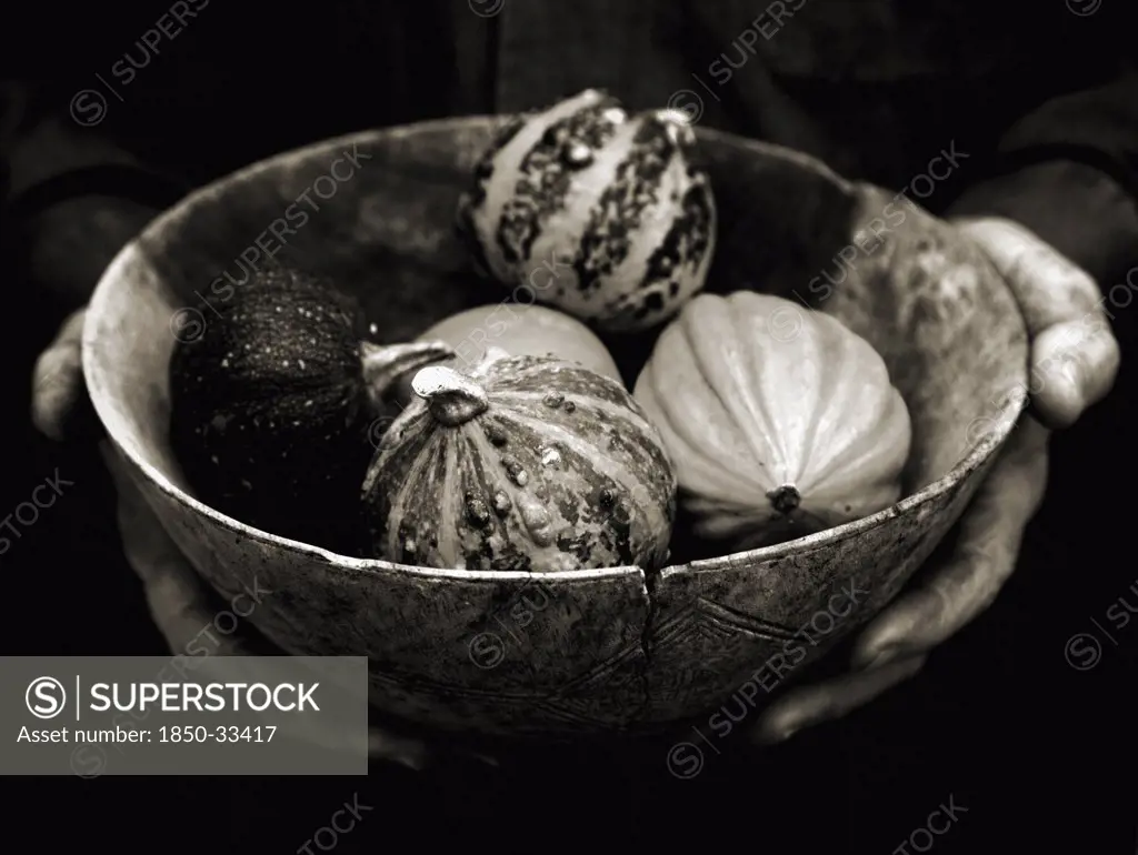 Cucurbita pepo, Gourd