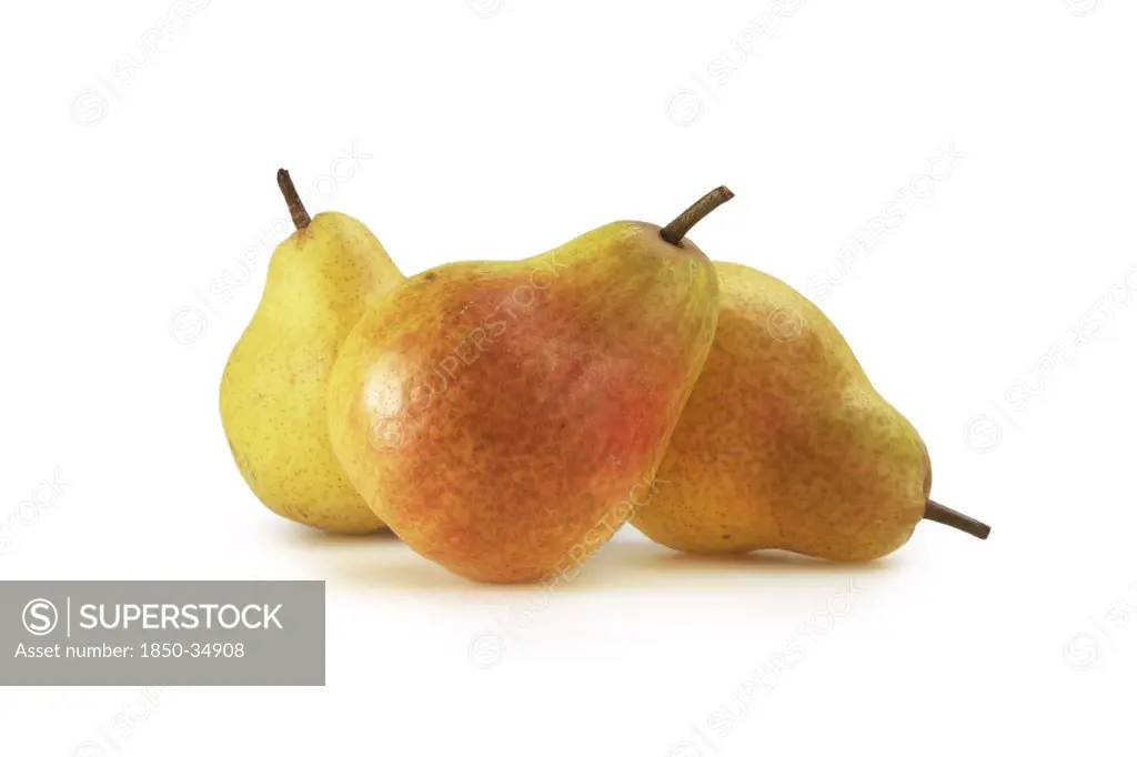 Pyrus communis, Pear