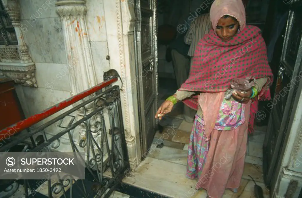 India, Rajasthan , Deshnok, Karni Mata Temple Interior With Woman In Traditional Dress Feeding The Rats That Inhabit It And Are Thought To Be Future Incarnations Of Mystics And Sadhus.
