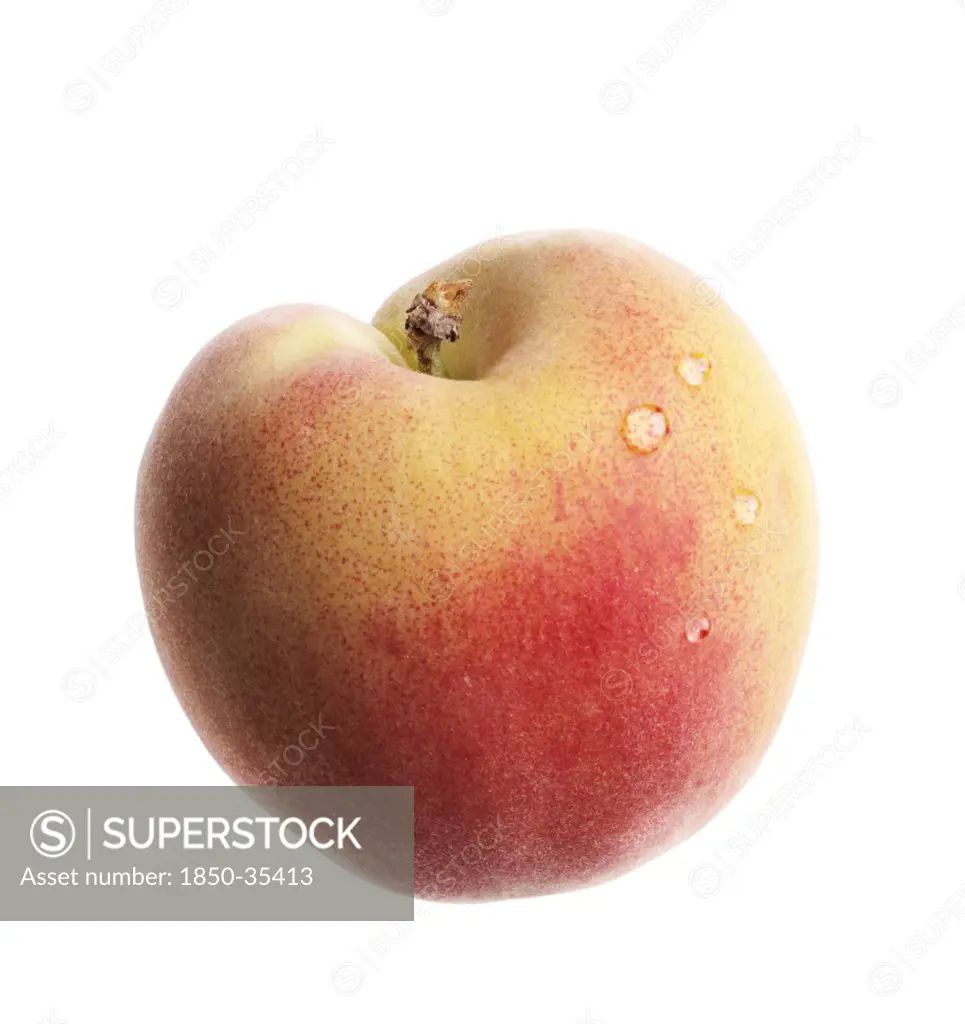 Prunus persica, Peach