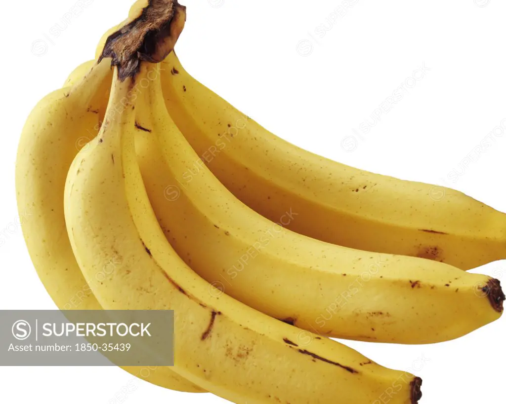 Musa, Banana