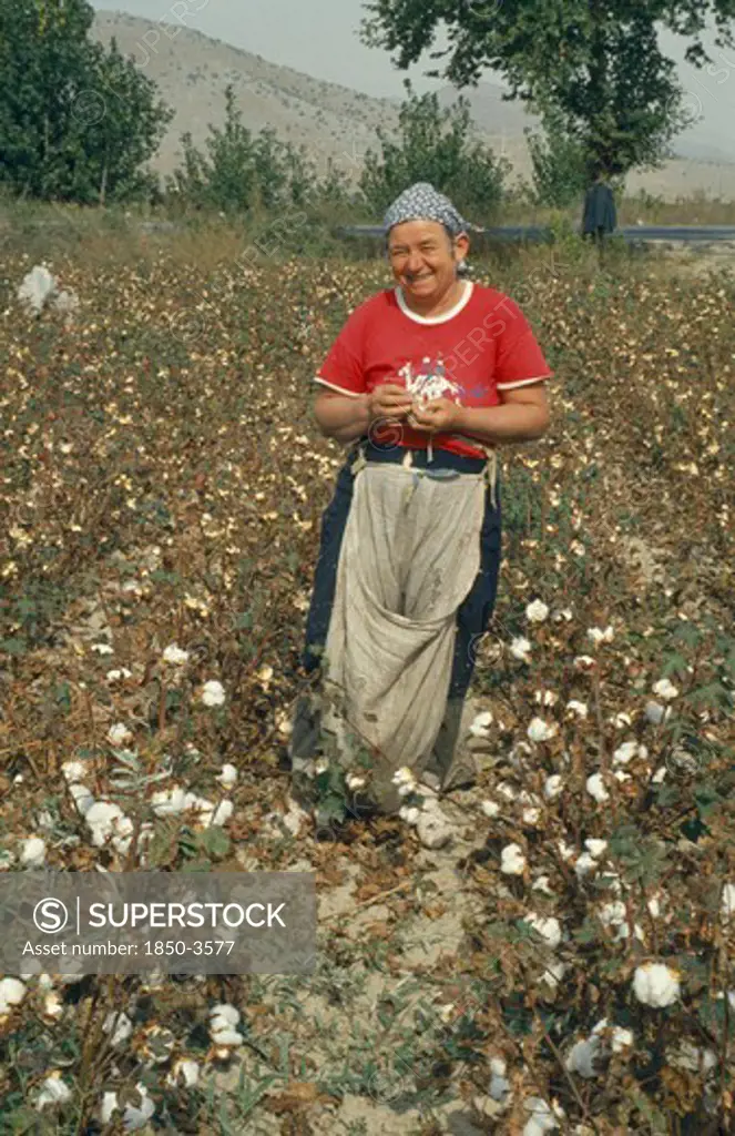 Greece, Industry, Cotton Picking