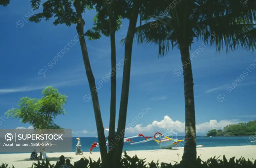 Indonesia, Lombok, Senggigi, The Beach Seen Through Coconut Palm Trees With Outrigger Fishing Sailboats Ashore