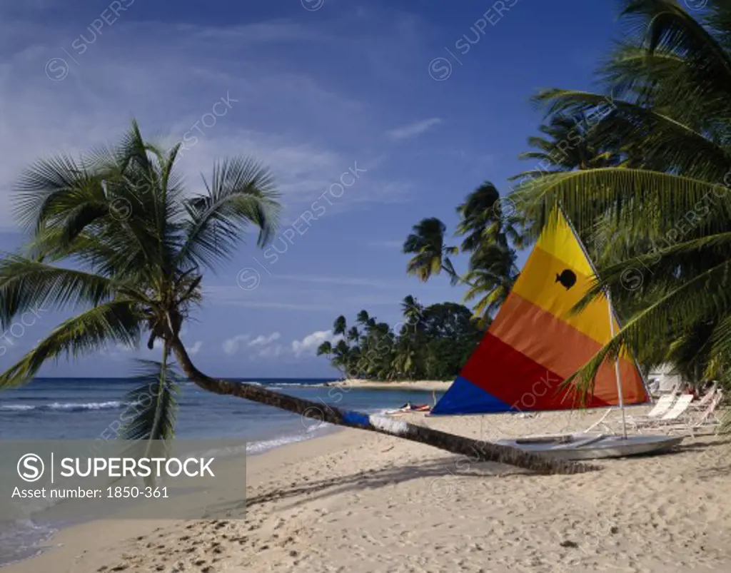 Barbados, St Peter, 'Gibbs Beach, Sunfish Boat On Beach, Colourful Sail, Palm Leaning '