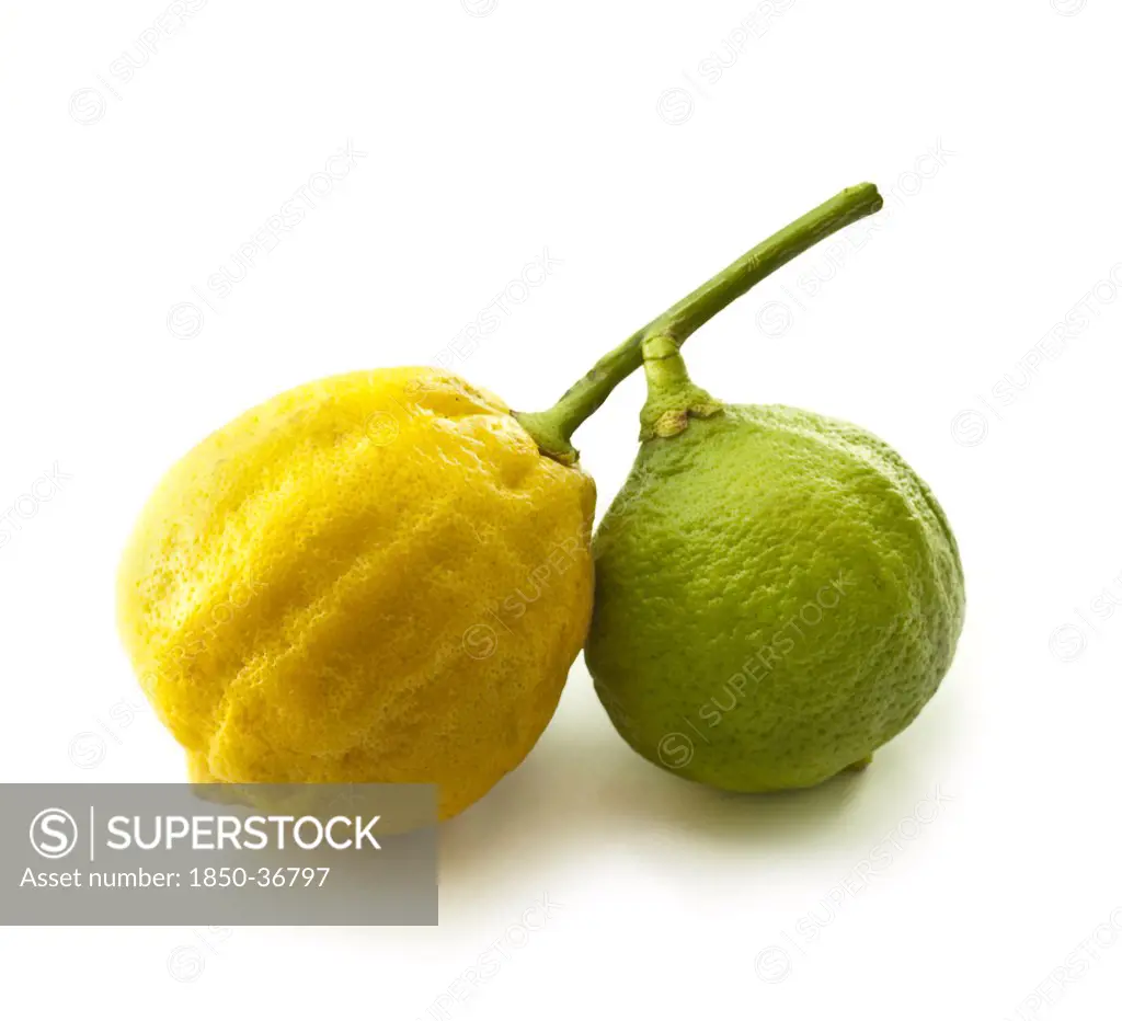 Citrus bergamia, Bergamot, Citrus