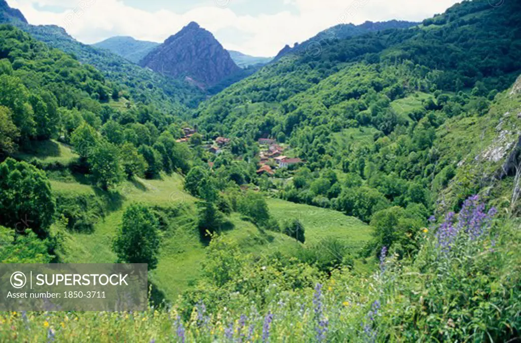 Spain, Picos De Europa, Castille Y Leon, Ribota De Abajo Mountain Village.  Situated In Green Valley With Trees And Wild Flowers.