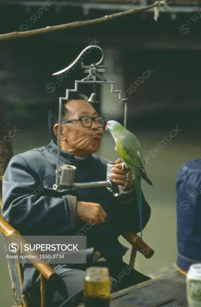 China, People, Old Man In Cafe With Pet Parrot