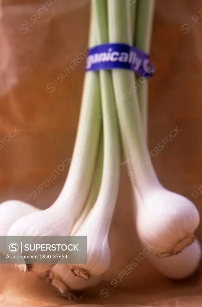Allium cepa, Onion, Spring onion
