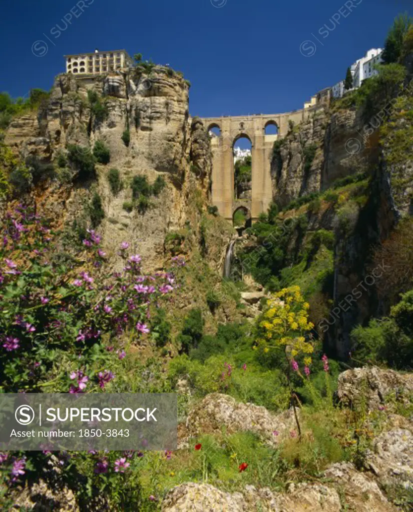 Spain, Andalucia, Malaga Province, 'Ronda, Puente Nuevo Bridge Spans Deep Rocky Chasm, Wild Flowers In Front '