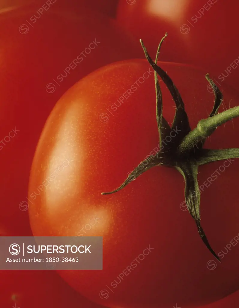 Lycopersicon esculentum, Tomato