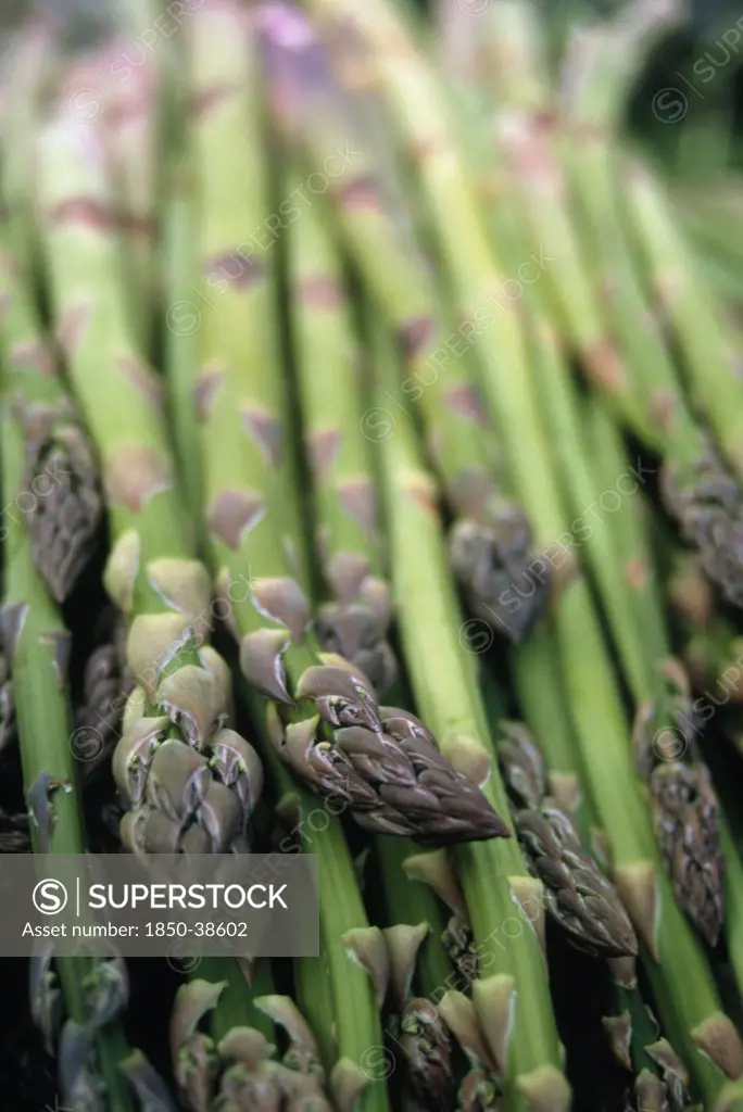 Asparagus officinalis, Asparagus