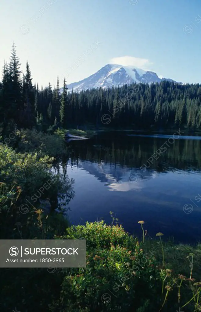 Usa, Washington, Skamania, Mount St Helens National Volcanic Monument. View Over Lake Toward The Volcano Peak High Above The Trees